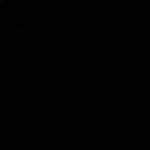 Meet your Posher, Shlok